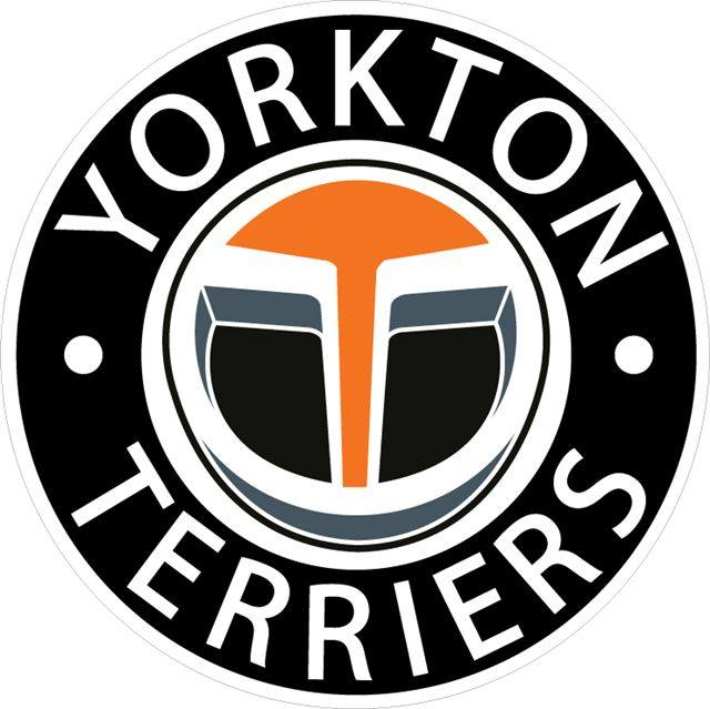 Yorkton Terriers 2016-Pres Primary Logo iron on transfers for clothing